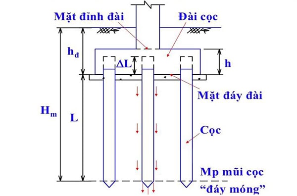 dai-coc-la-gi